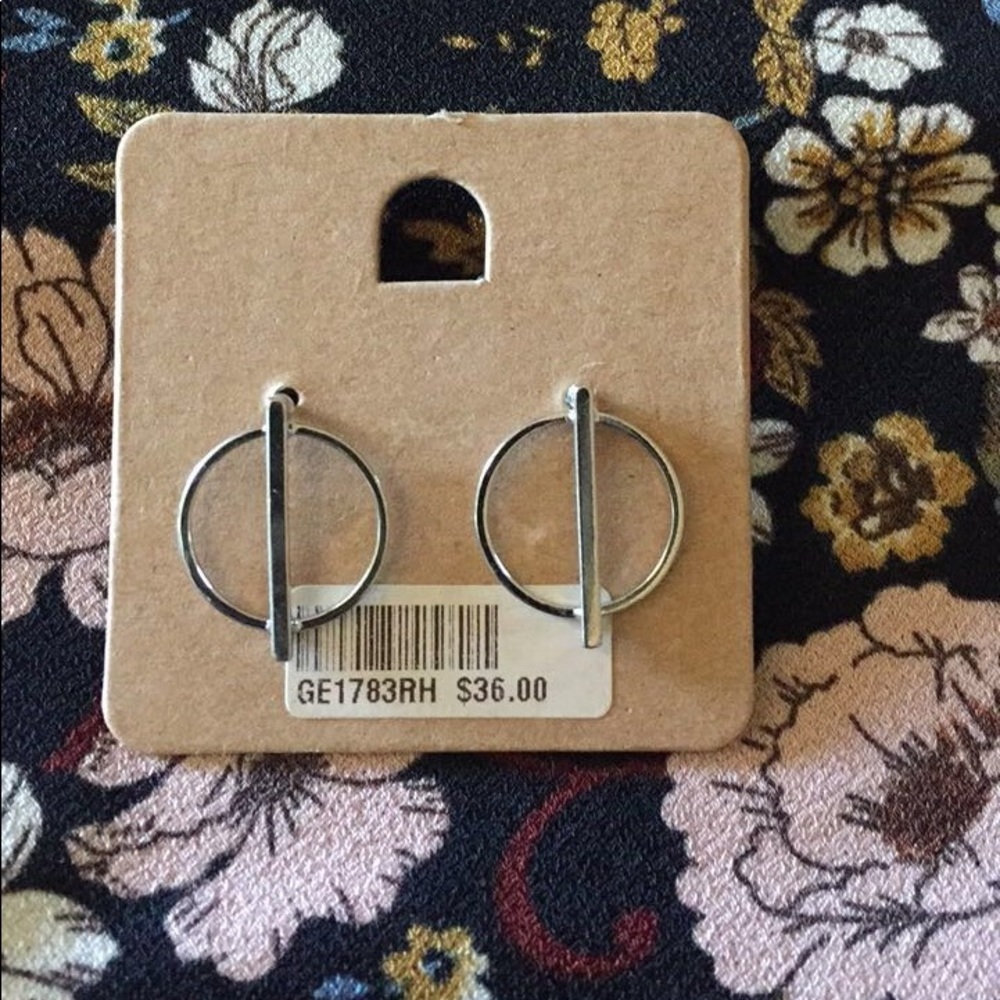 Circle Silver Earrings