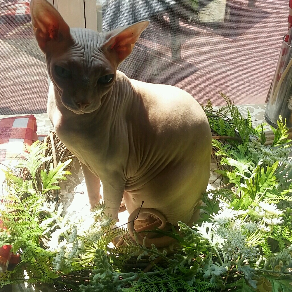 Meet your Posher, Stephanie