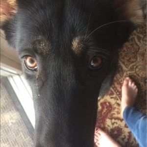 Meet your Posher, Rileigh