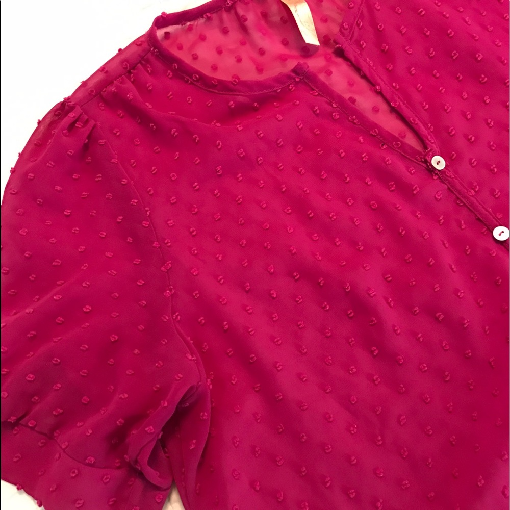 Francesca's Collection Fuchsia Swiss Dot Blouse