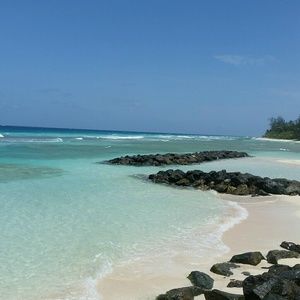 Meet your Posher, Joyce