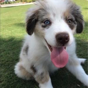 Meet your Posher, Mckenzie