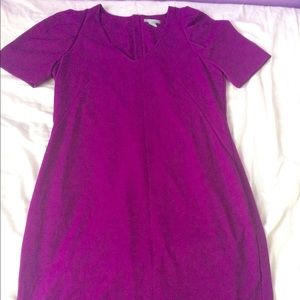 Purple, short-sleeve H&M dress, size 12