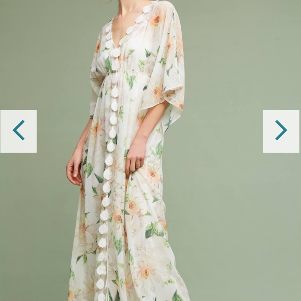 Stunning Anthropologie Dahlia Dress