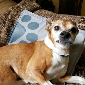 Meet your Posher, Iris