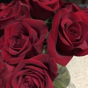 Meet your Posher, Chelly