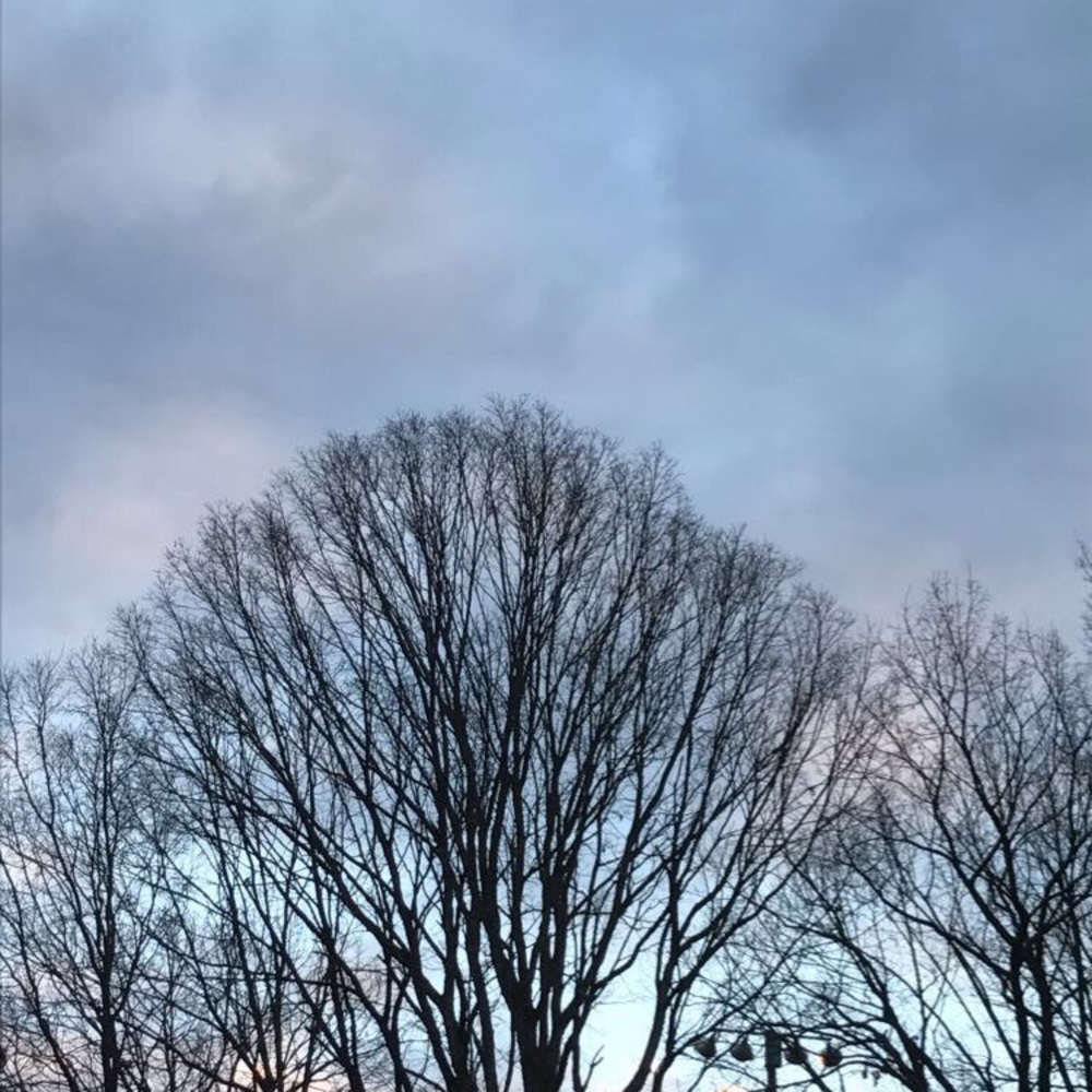 Meet your Posher, Macy