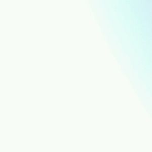 Meet your Posher, Bob