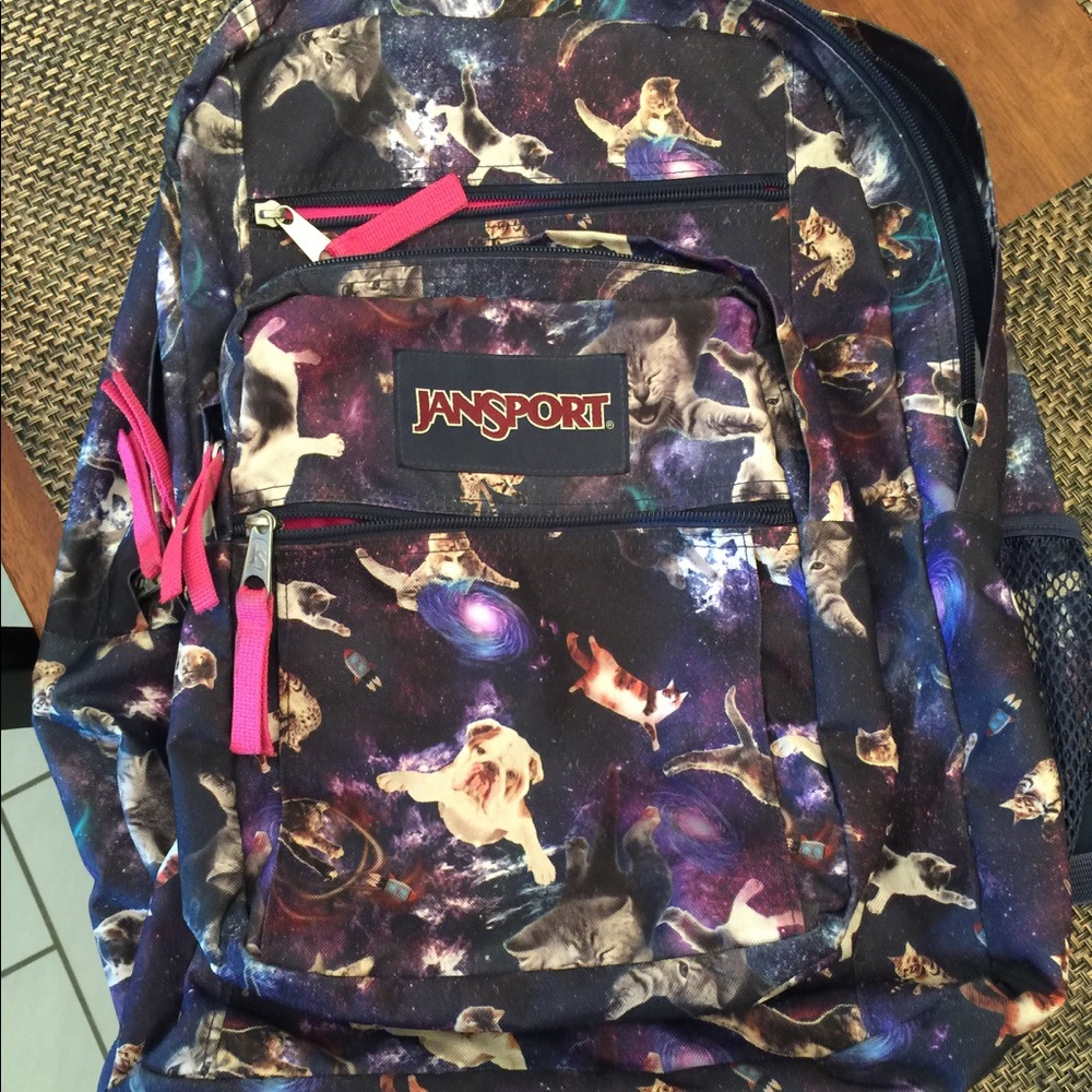 Jansport Galaxy kitten dog cat bookbag backpack