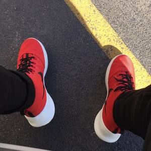 Meet your Posher, Hunter