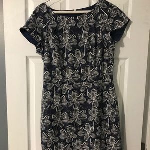 J Crew Dress