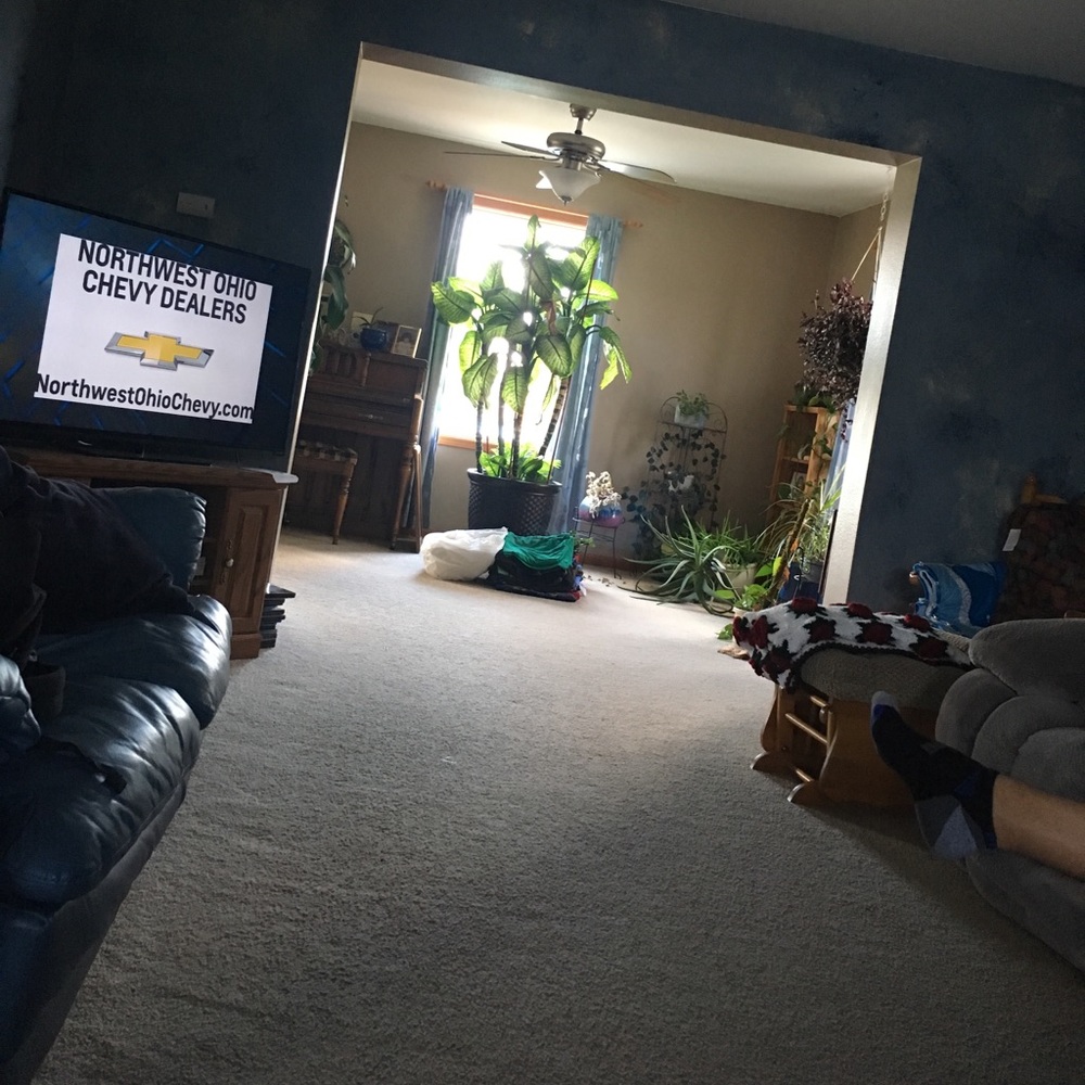 Meet your Posher, Kim