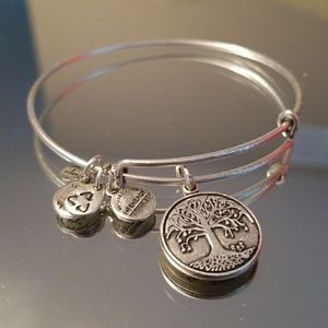 Alex and Ani Bracelet