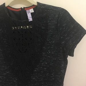 Francesca's Black Lace T-Shirt Fit and Flare Dress