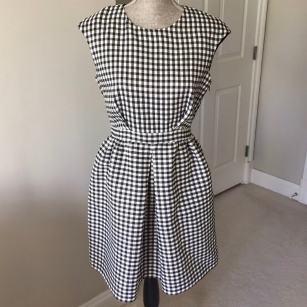 ZARA Black & White Gingham Dress ~ Fit & Flare