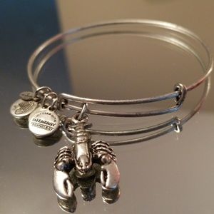 Alex and Ani Bracelet