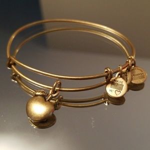 Alex and Ani Bracelet