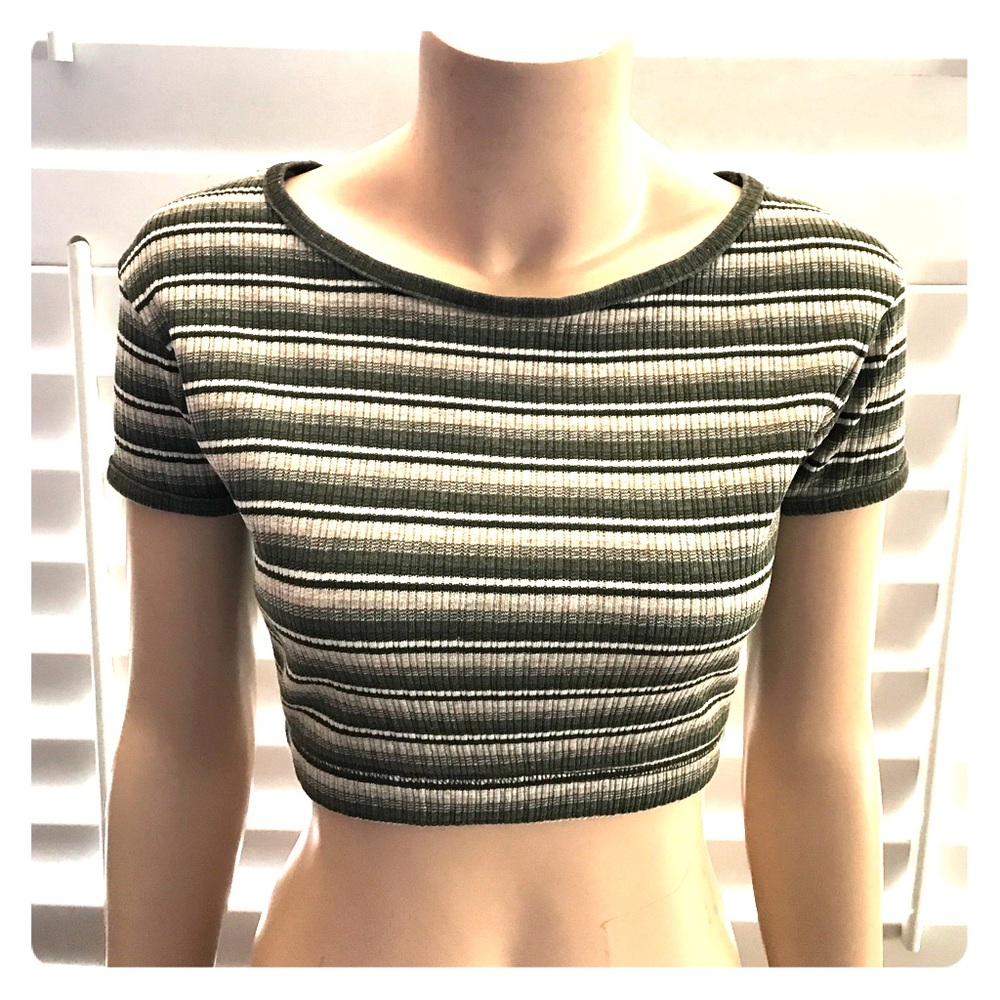 A Stripped Neutral Colored Crop Top.