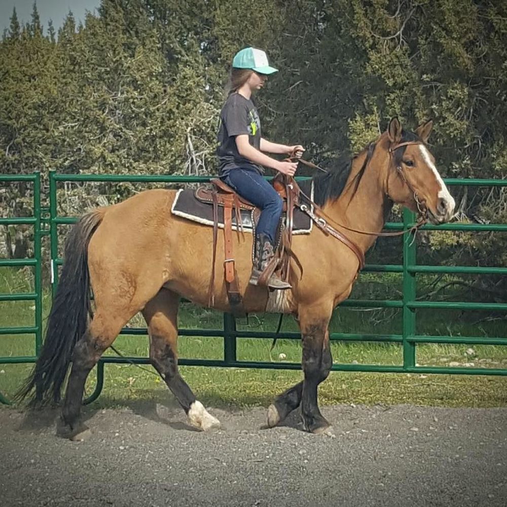 Meet your Posher, Madeline