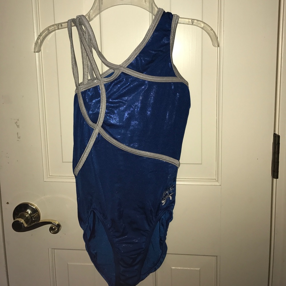 Blue leotard