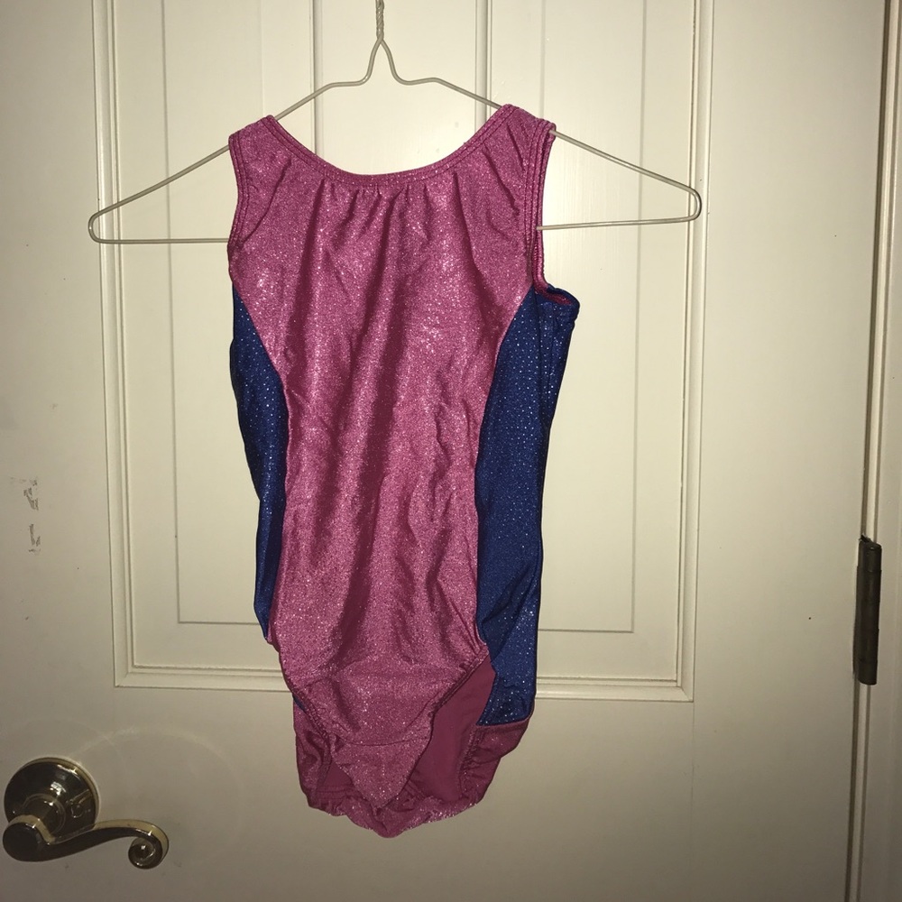 Blue/pink shiny Leotard