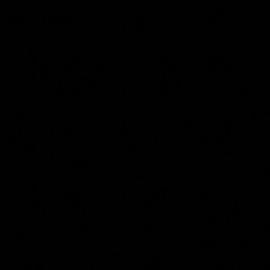 Meet your Posher, Eduardo