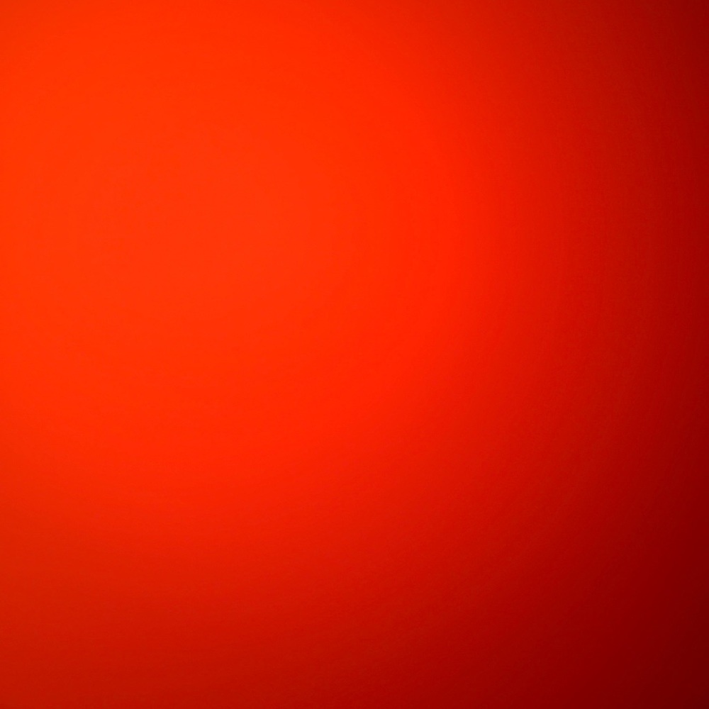 Meet your Posher, Delana