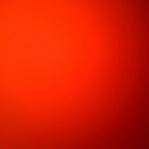 Meet your Posher, Delana