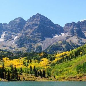 Meet your Posher, Carol