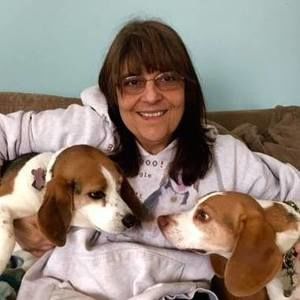 Meet your Posher, Laurie