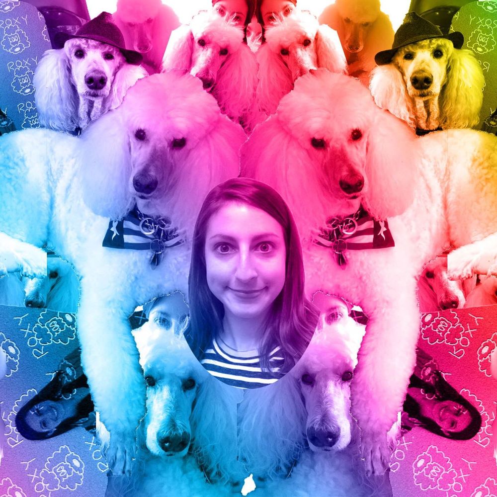 Meet your Posher, Lauren