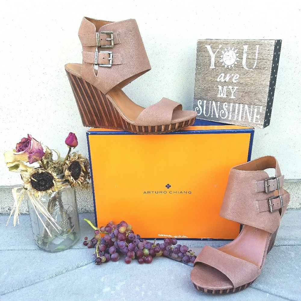 Stylish Wedges by Arturo Chiang