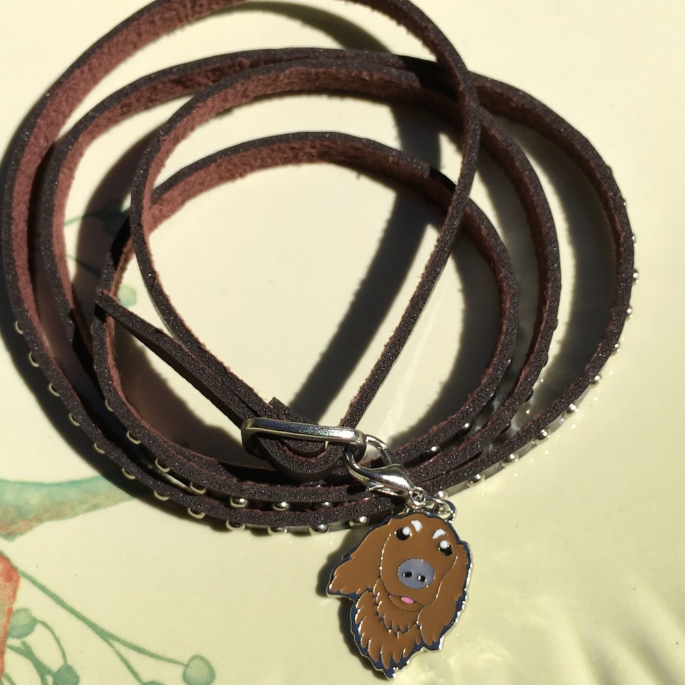 Irish setter / cocker enamel clip-chain or leather