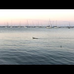 Meet your Posher, Justin