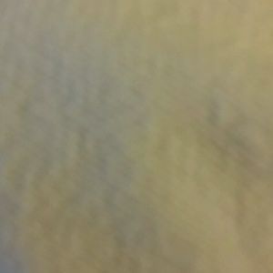 Meet your Posher, Joria