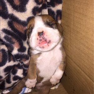 Meet your Posher, Vicky