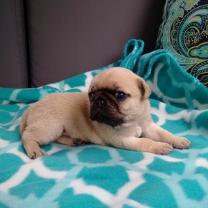 Meet your Posher, Stacey