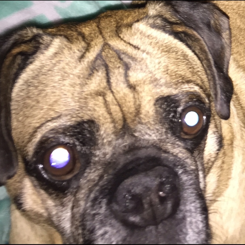 Meet your Posher, Sandi