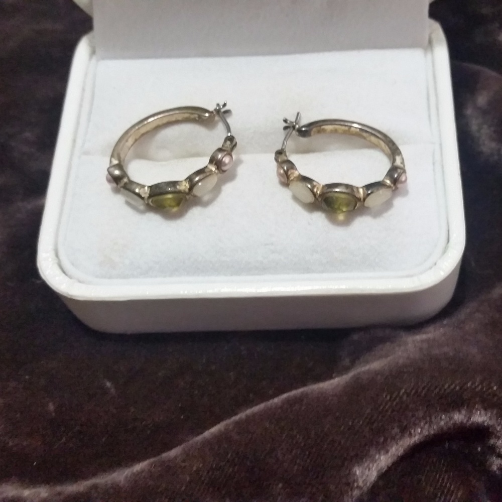 Multi-color Semiprecious Stone Hoop Earrings