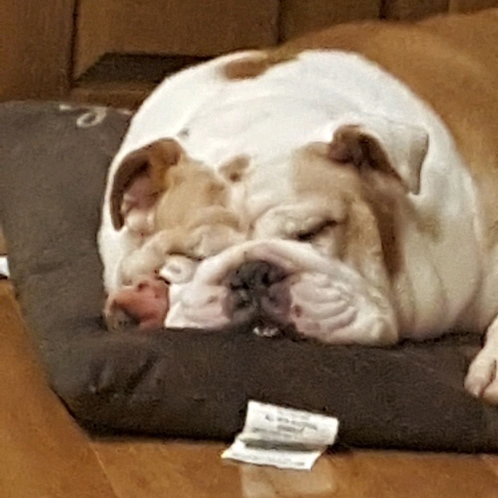 Meet your Posher, Doris