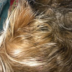 Meet your Posher, Paulette