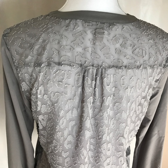 Banana Republic Sheer Tunic - Picture 5 of 7