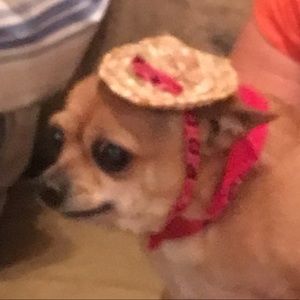 Meet your Posher, Max