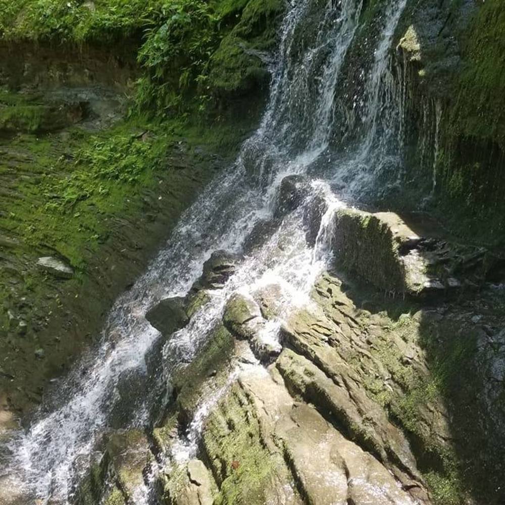 Meet your Posher, Kay