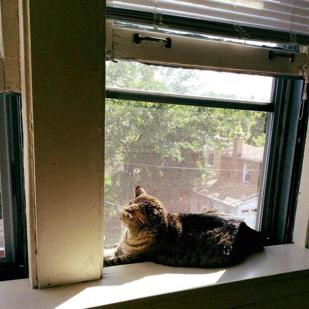 Meet your Posher, Eri