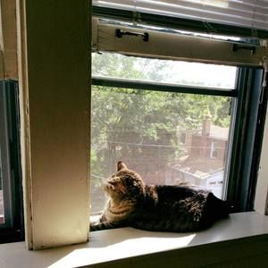 Meet your Posher, Eri