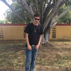 Meet your Posher, Hector