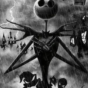 Meet your Posher, Donovan