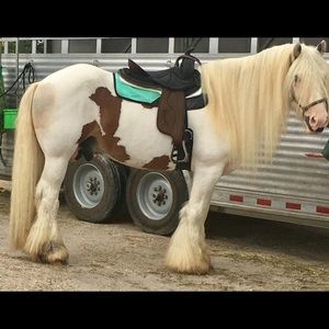 Meet your Posher, Candi