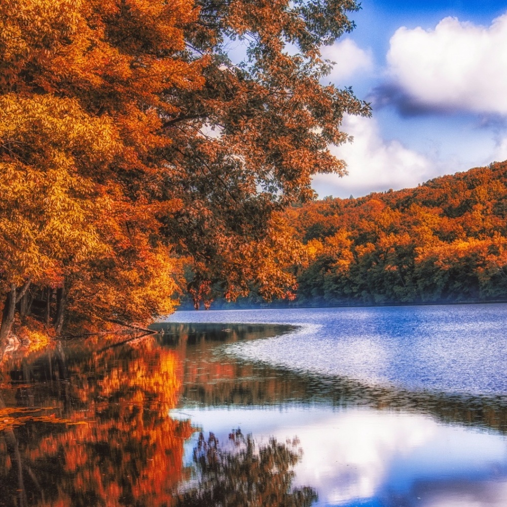 Meet your Posher, Chantal & Raquel